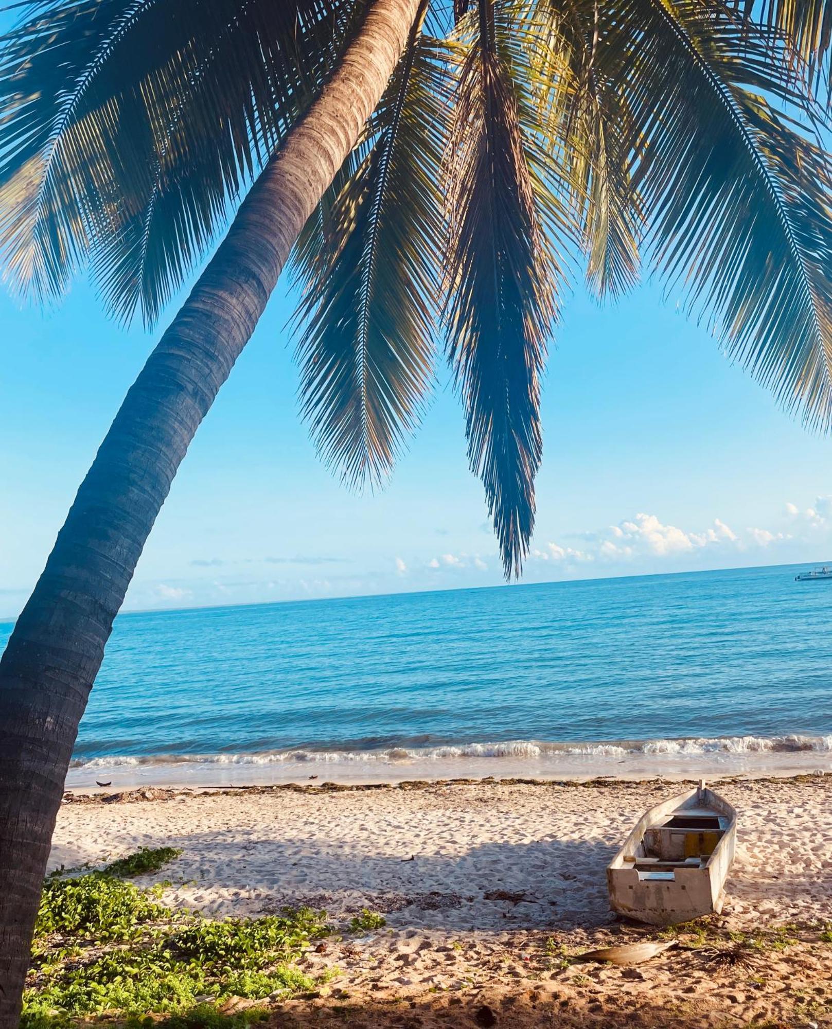 The Nautilus Pemba Hotel Ngoại thất bức ảnh