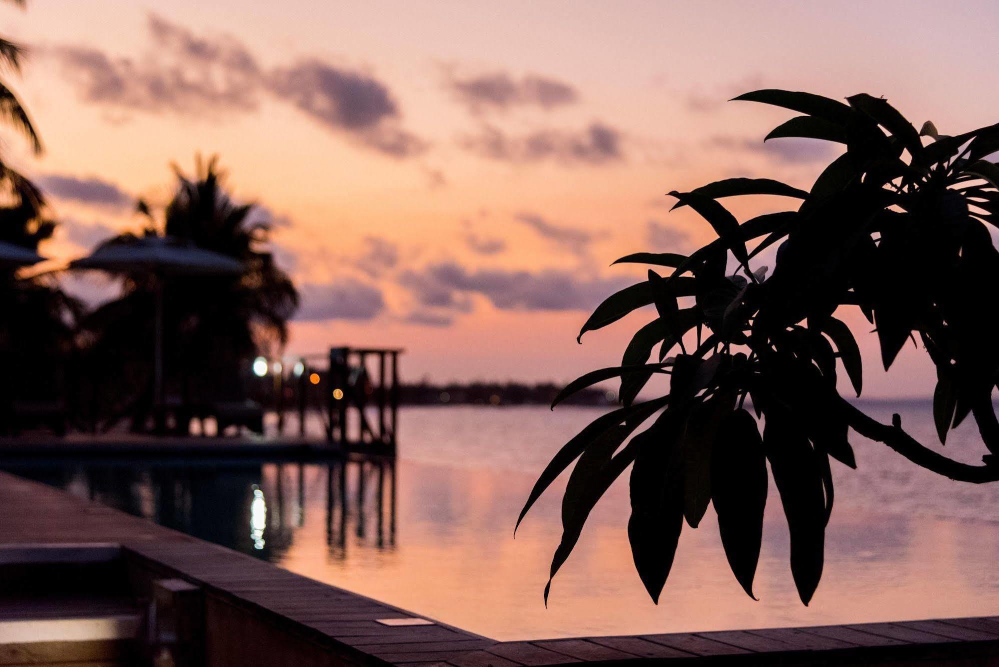 The Nautilus Pemba Hotel Ngoại thất bức ảnh